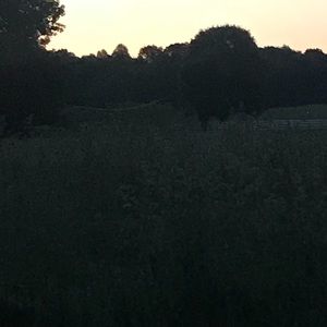 Meet your Posher, Leann